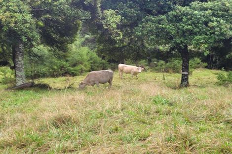 Photo of property in 611 Matawherohia Road, Kaeo, 0478