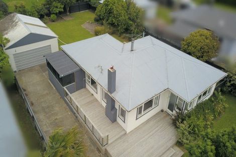 Photo of property in 60 Parker Avenue, Levin, 5510