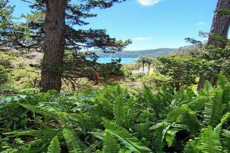 Photo of property in 9 Lavinia Place, Kawau Island, 0920