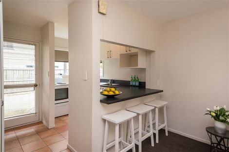 Photo of property in 29a Packe Street, Edgeware, Christchurch, 8013