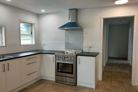 Photo of property in 217 Glenbrook Waiuku Road, Glenbrook, Waiuku, 2681