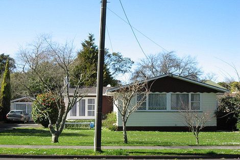 Photo of property in 19 Skerman Street, Marton, 4710