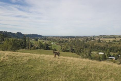 Photo of property in 548 Pleasant Valley Road, Geraldine Downs, Geraldine, 7991