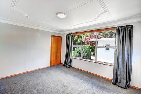 Photo of property in 217 Union Street, Milton, 9220