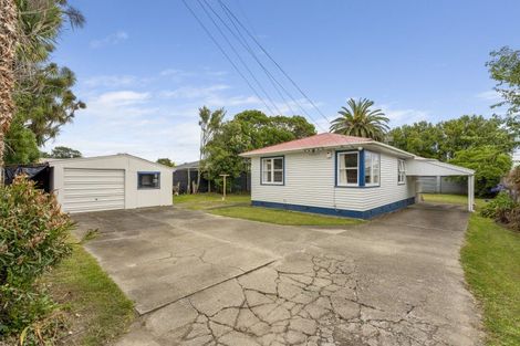 Photo of property in 20 Mckenzie Street, Levin, 5510