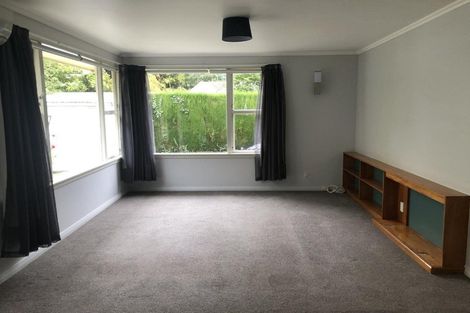 Photo of property in 38a Mclauchlan Street, Springlands, Blenheim, 7201