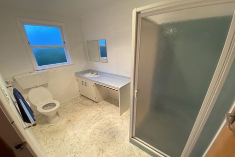 Photo of property in 109 Te Awe Awe Street, Hokowhitu, Palmerston North, 4410