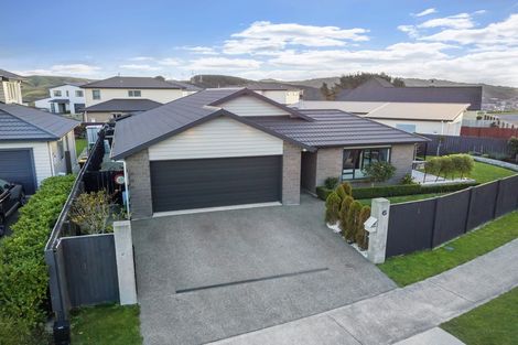 Photo of property in 6 Montego Place, Grenada Village, Wellington, 6037