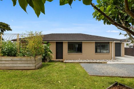 Photo of property in 49 Davies Road, Wellsford, 0900