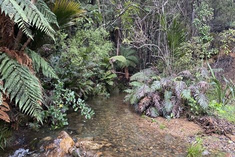 Photo of property in 980 Buffalo Road, Coromandel, 3506