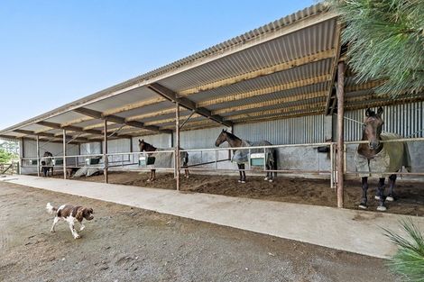 Photo of property in 139 Harmans Road, Leeston, 7682