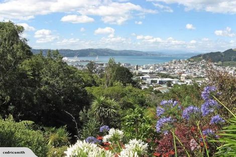 Photo of property in 14 Dorking Road, Brooklyn, Wellington, 6021