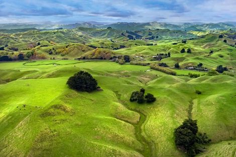 Photo of property in 113 Kaitawa Road, Hautere, Otaki, 5582