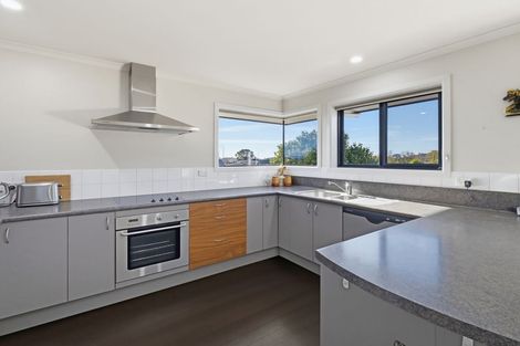Photo of property in 102 Fergusson Street, Stoke, Nelson, 7011