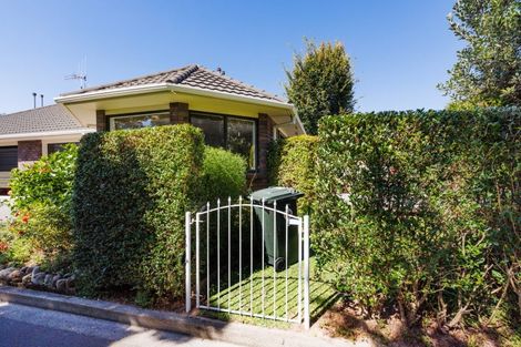 Photo of property in 198c Vogel Street, Roslyn, Palmerston North, 4414