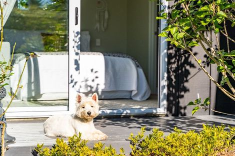 Photo of property in 37 Grove Road, Mangawhai Heads, Mangawhai, 0505