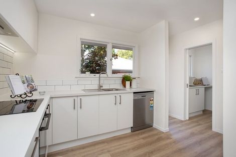 Photo of property in 15 Suffolk Street, Phillipstown, Christchurch, 8011