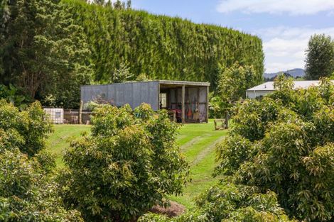 Photo of property in 63a Rea Road, Tahawai, Katikati, 3178