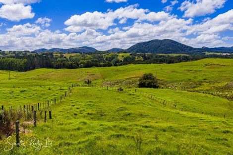 Photo of property in 117 Kaiwaka-mangawhai Road, Kaiwaka, Wellsford, 0975