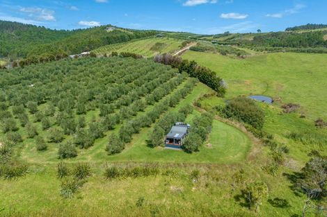 Photo of property in 90c Leccino Valley Road, Mangonui, 0494