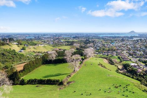 Photo of property in 24 Eagle Street, Welcome Bay, Tauranga, 3112
