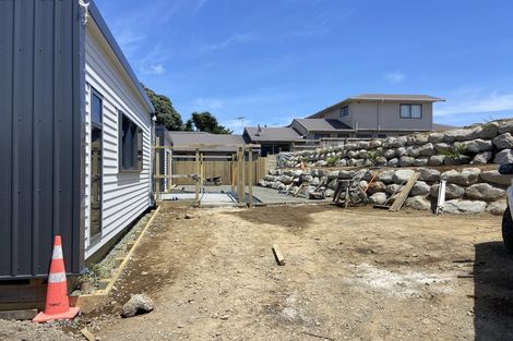 Photo of property in 251 Saint Aubyn Street, New Plymouth, 4310