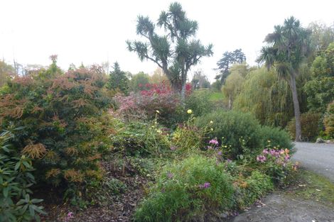 Photo of property in 99 Pye Road, Geraldine Downs, Geraldine, 7991