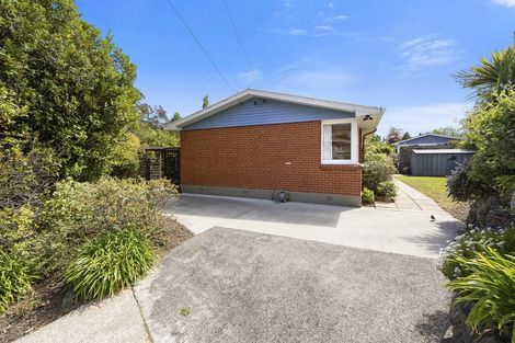 Photo of property in 46 Bryant Street, Bradford, Dunedin, 9011