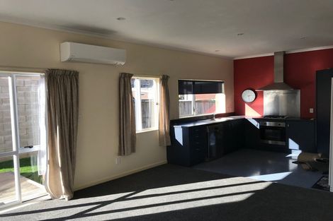 Photo of property in 24 Rex Street, Miramar, Wellington, 6022