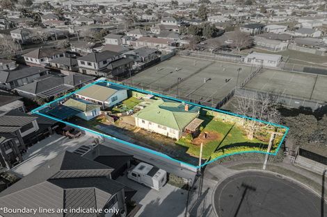 Photo of property in 22 Elizabeth Avenue, Papatoetoe, Auckland, 2025