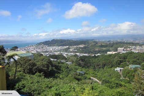 Photo of property in 117 Washington Avenue, Brooklyn, Wellington, 6021