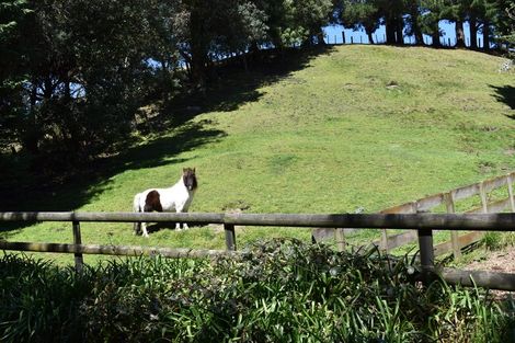 Photo of property in 151 Te Hapua Road, Te Horo, Otaki, 5581