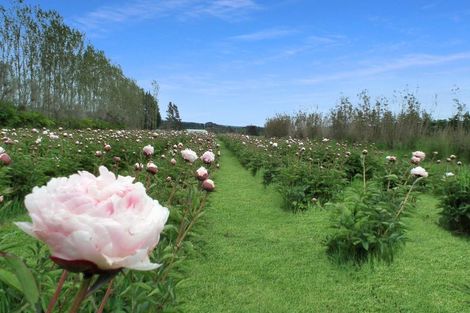 Photo of property in 37 Bluff Hill Road, Waianakarua, Oamaru, 9495