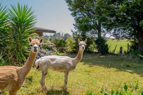 Photo of property in 17 Riveredge Terrace, Ohau, Levin, 5570