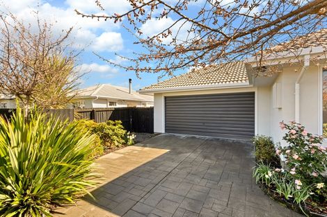 Photo of property in 1/135 Edinburgh Street, Spreydon, Christchurch, 8024
