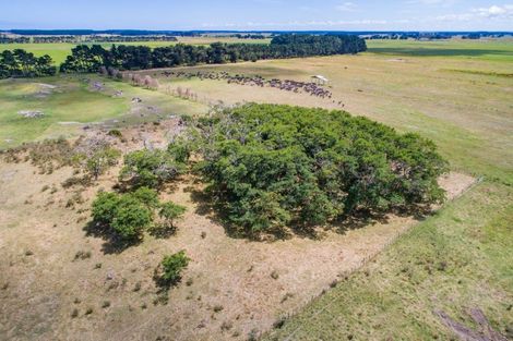 Photo of property in 76 Himatangi Beach Road, Himatangi, Foxton, 4891