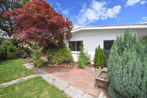 Photo of property in 217 Union Street, Milton, 9220