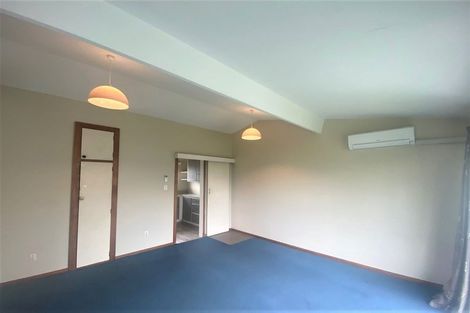 Photo of property in 1/206 Hastings Street East, Waltham, Christchurch, 8023