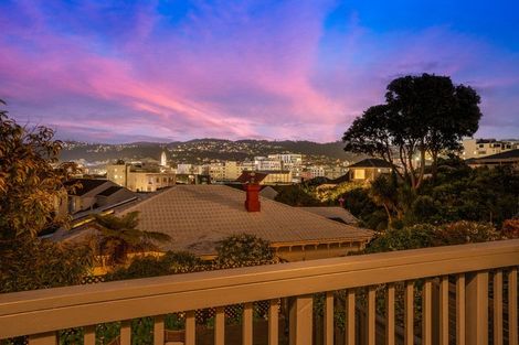Photo of property in 84 Roxburgh Street, Mount Victoria, Wellington, 6011