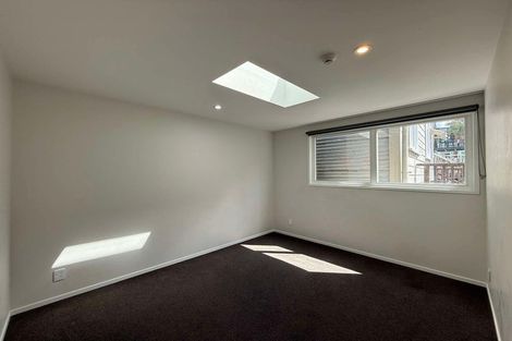 Photo of property in 100 Aro Street, Aro Valley, Wellington, 6021