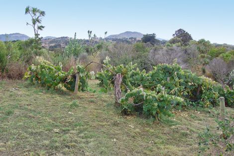 Photo of property in 126 Oneriri Road, Kaiwaka, 0573