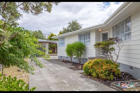 Photo of property in 57 River Road, Masterton, 5810
