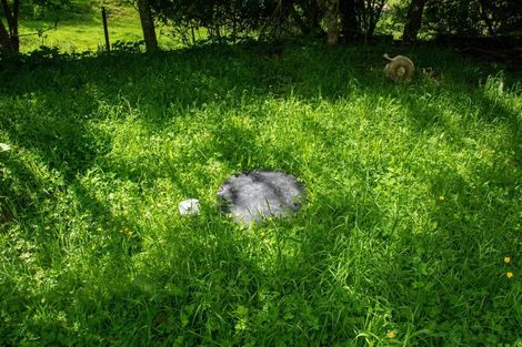 Photo of property in 1801 Ohura Road, Douglas, Stratford, 4392