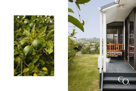 Photo of property in 76 Hammond Street, Hairini, Tauranga, 3112