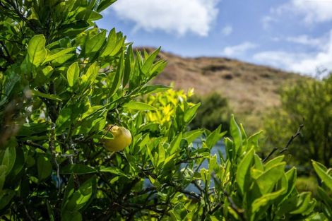 Photo of property in 57 State Highway 3, Marybank, Whanganui, 4572