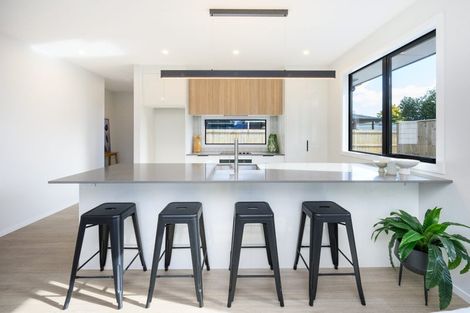 Photo of property in 10c Limbrick Street, Terrace End, Palmerston North, 4410