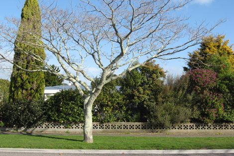 Photo of property in 25a Beach Street, Whakatane, 3120