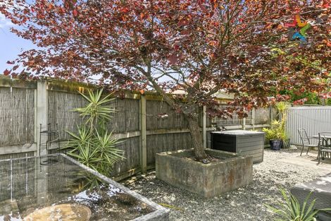 Photo of property in 1a/10 Park Avenue, Epuni, Lower Hutt, 5011