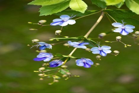 Photo of property in 9b Edinburgh Street, Pukekohe, 2120