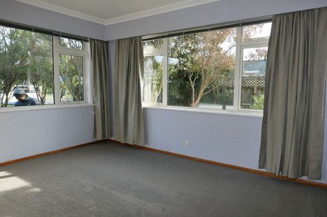 Photo of property in 19 Parsons Avenue, Levin, 5510